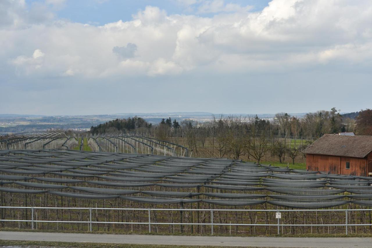 Gut Huegle Jugendzimmer Ravensburg Kültér fotó